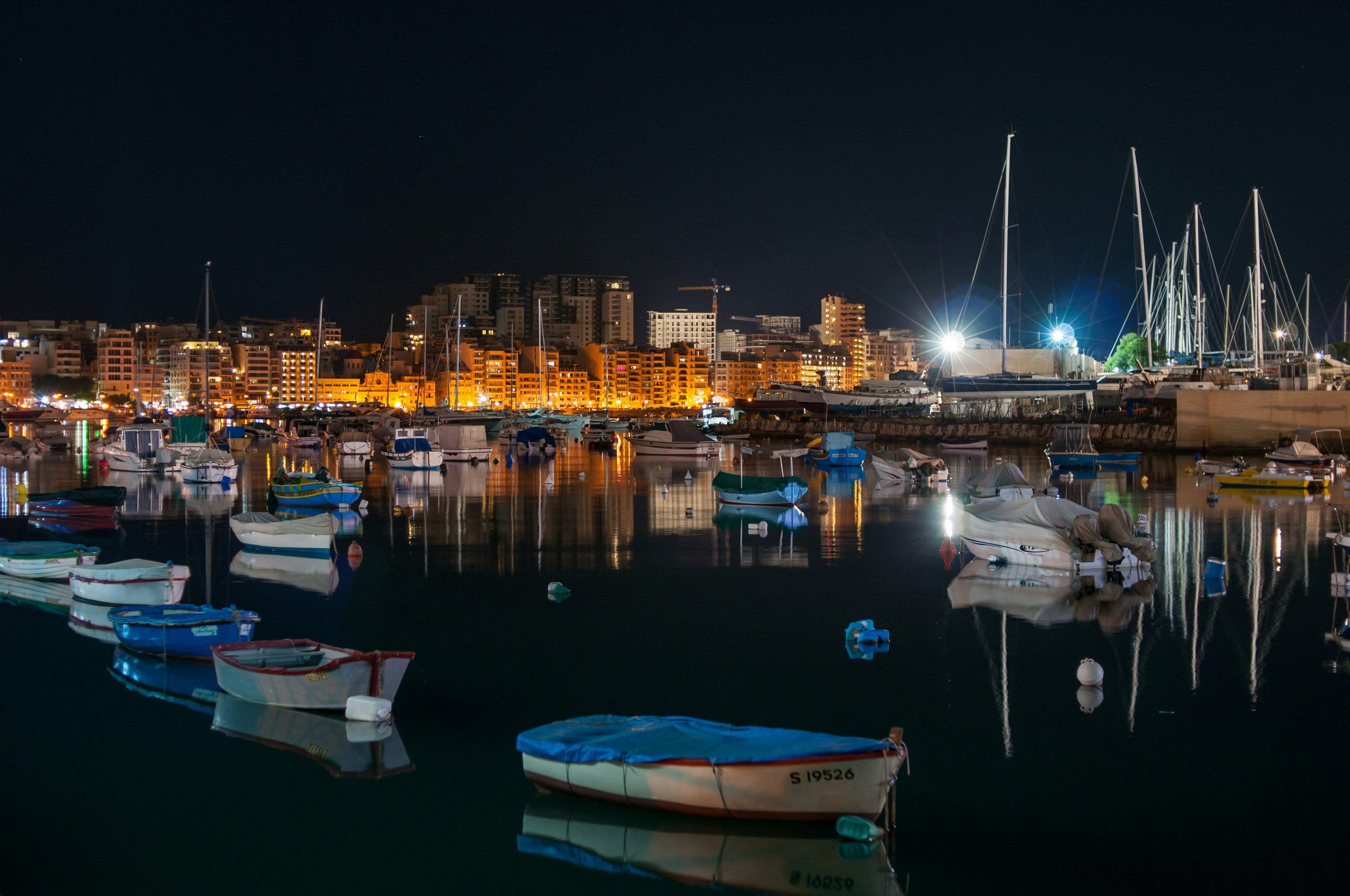 How to Plan a Garden-Themed Harbour Fest ?