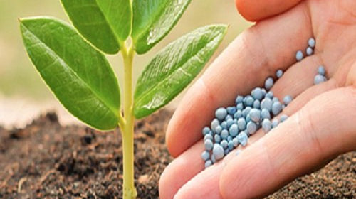 DIY: FERTILIZERS AND NATURAL SOLUTIONS