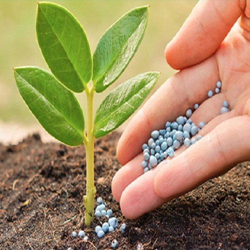 DIY: FERTILIZERS AND NATURAL SOLUTIONS