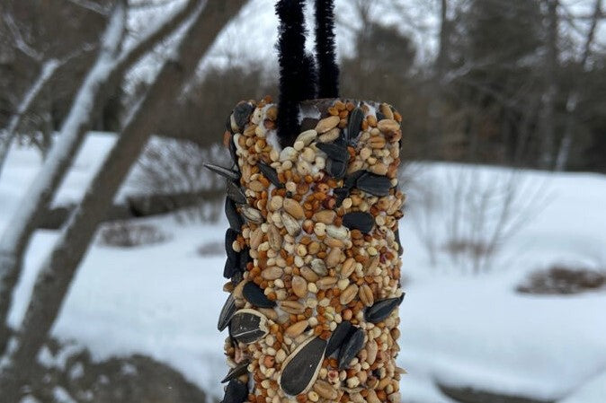 Easy Bird Feeder Craft For Kids