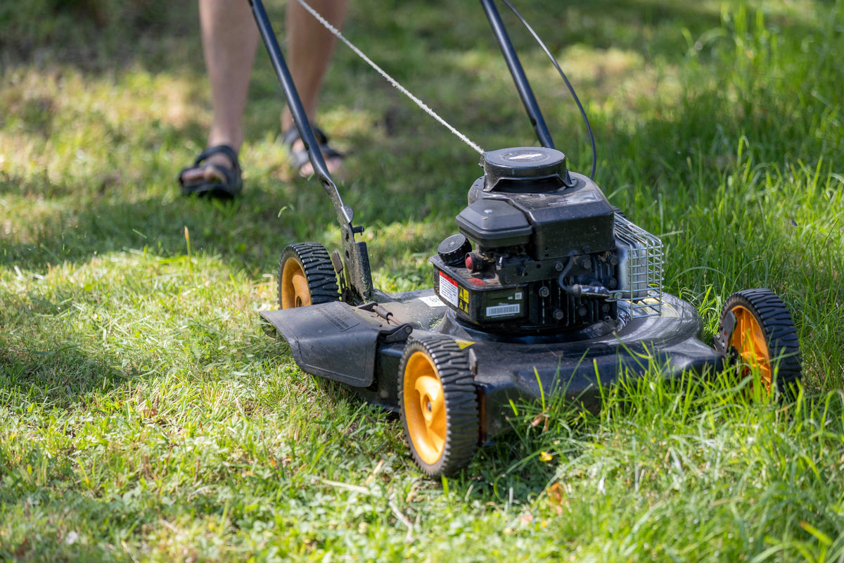 5 Fall Lawn Care Tips for a Greener Lawn Next Spring