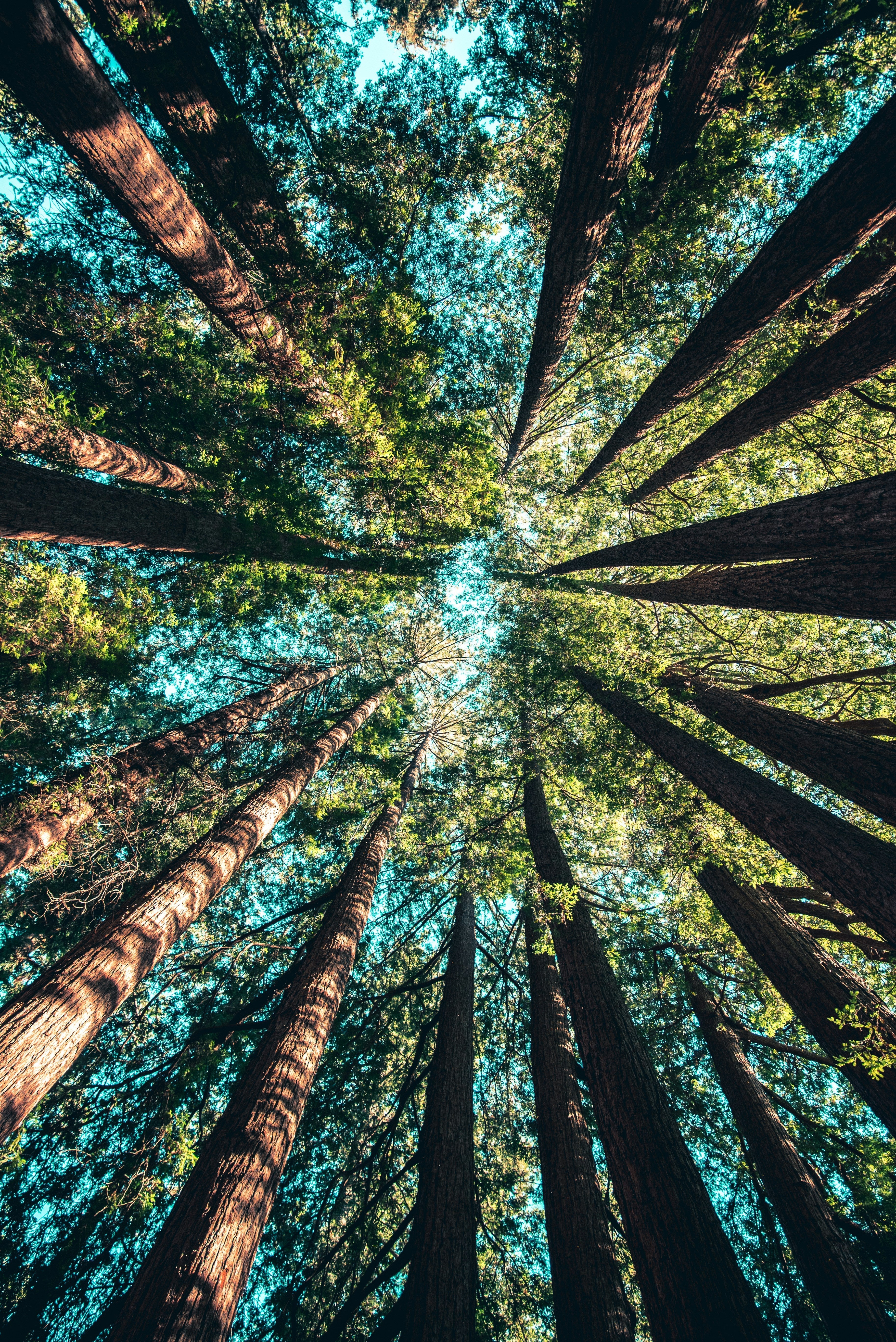 7 Tips for Earth Day Sustainable Gardening