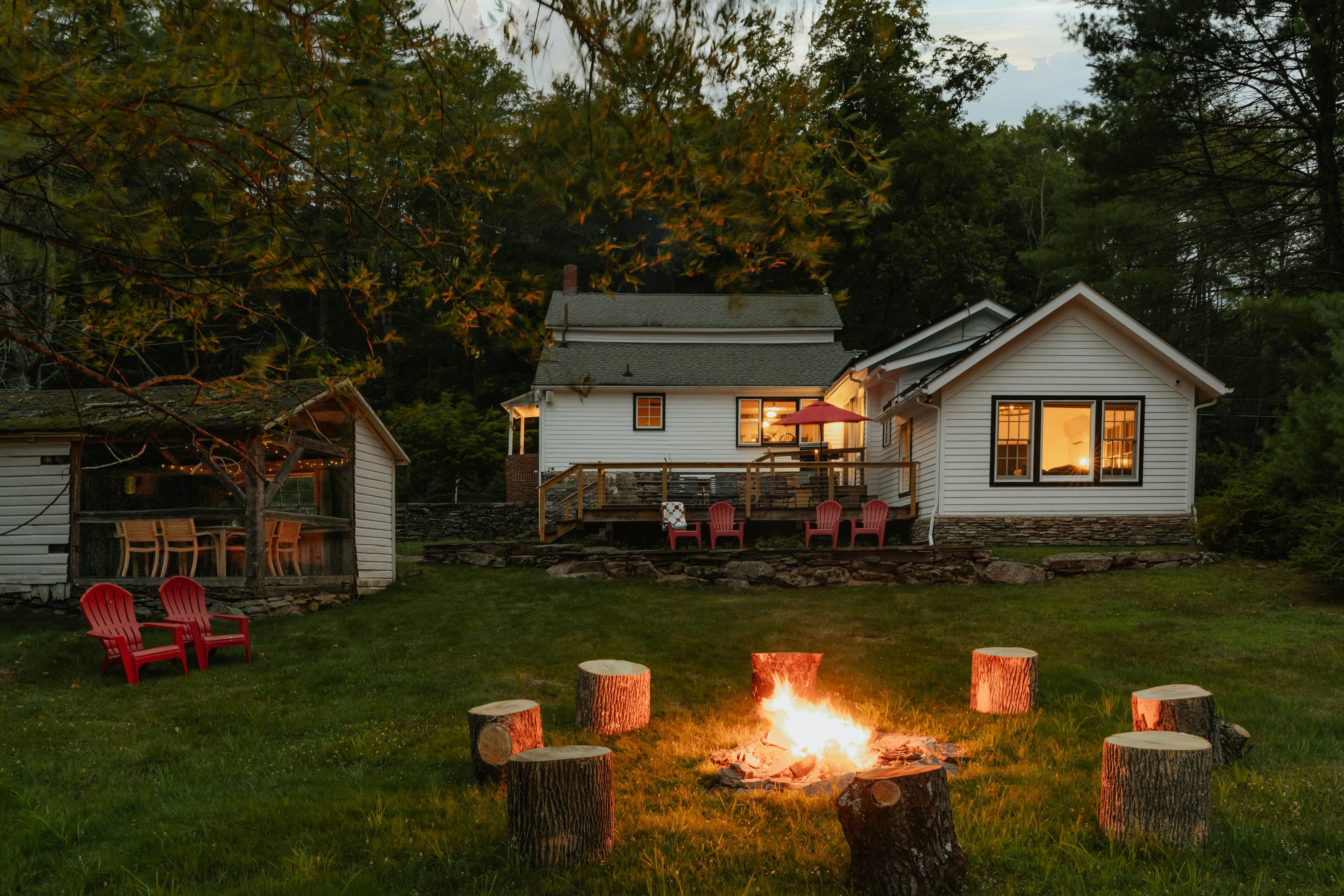 5 Plants to Deter Mosquitoes