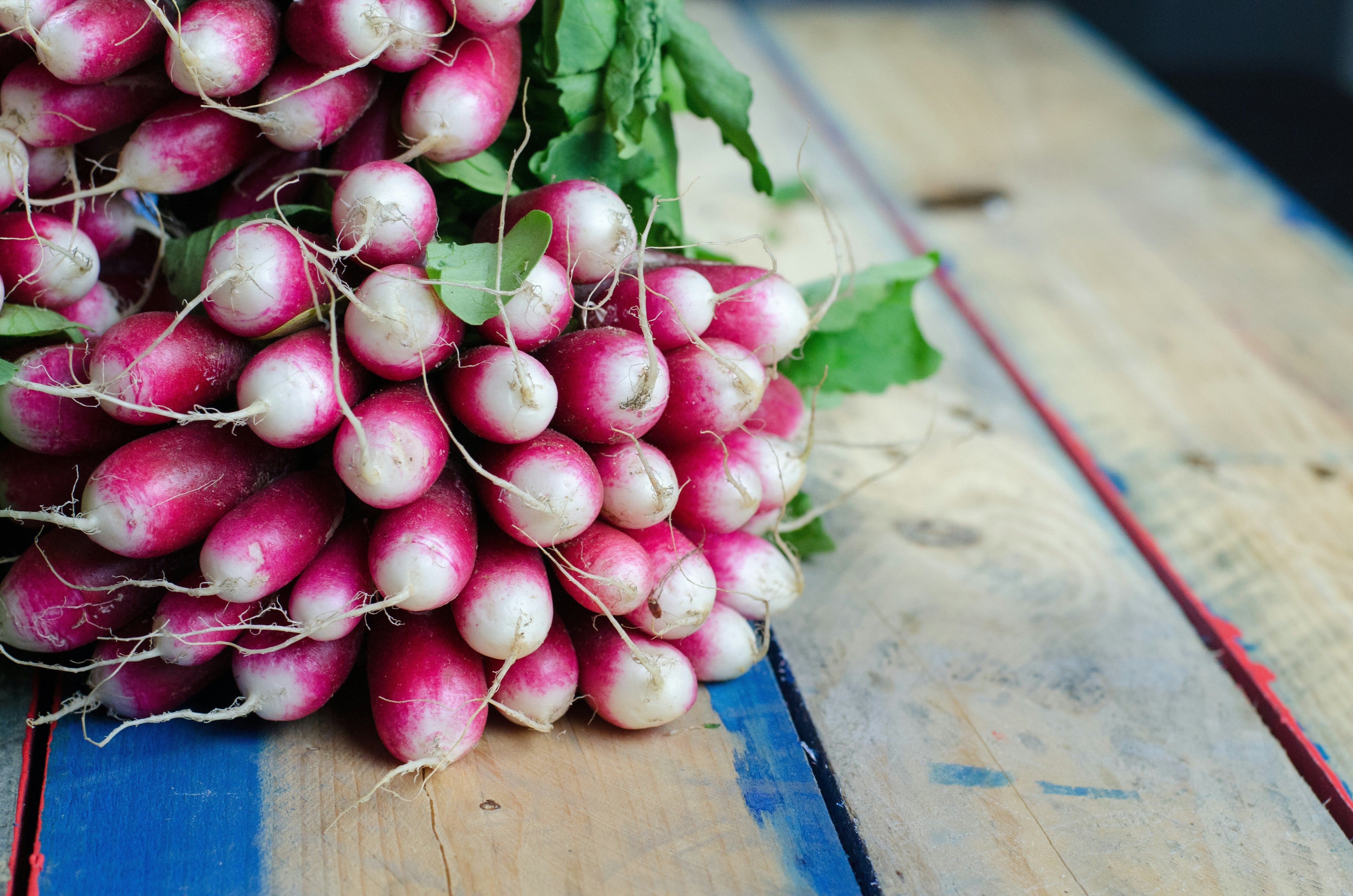 What Cold-Weather Crops Can Be Planted In April?