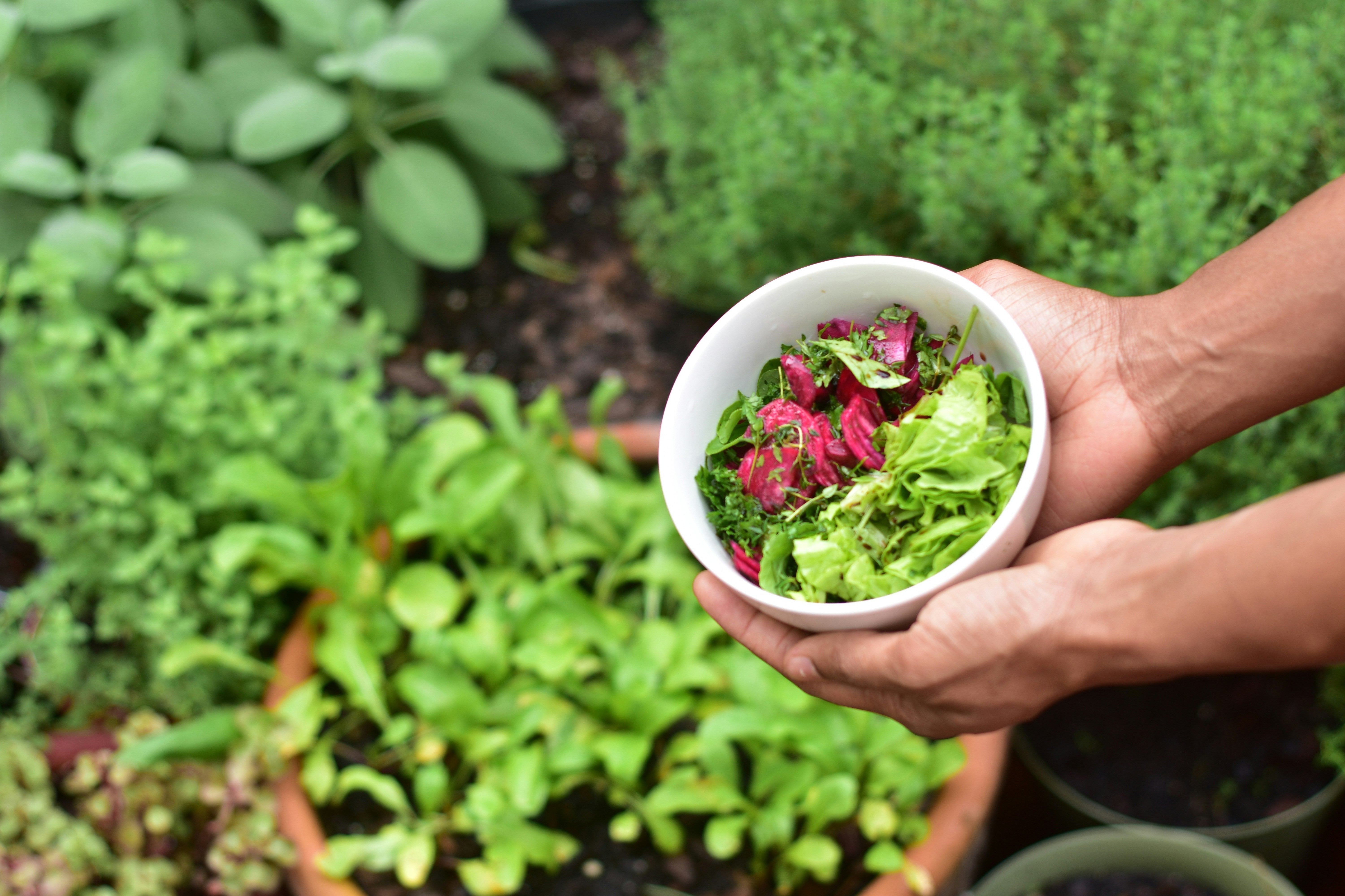Container Gardening for Balconies and Patios in Ontario