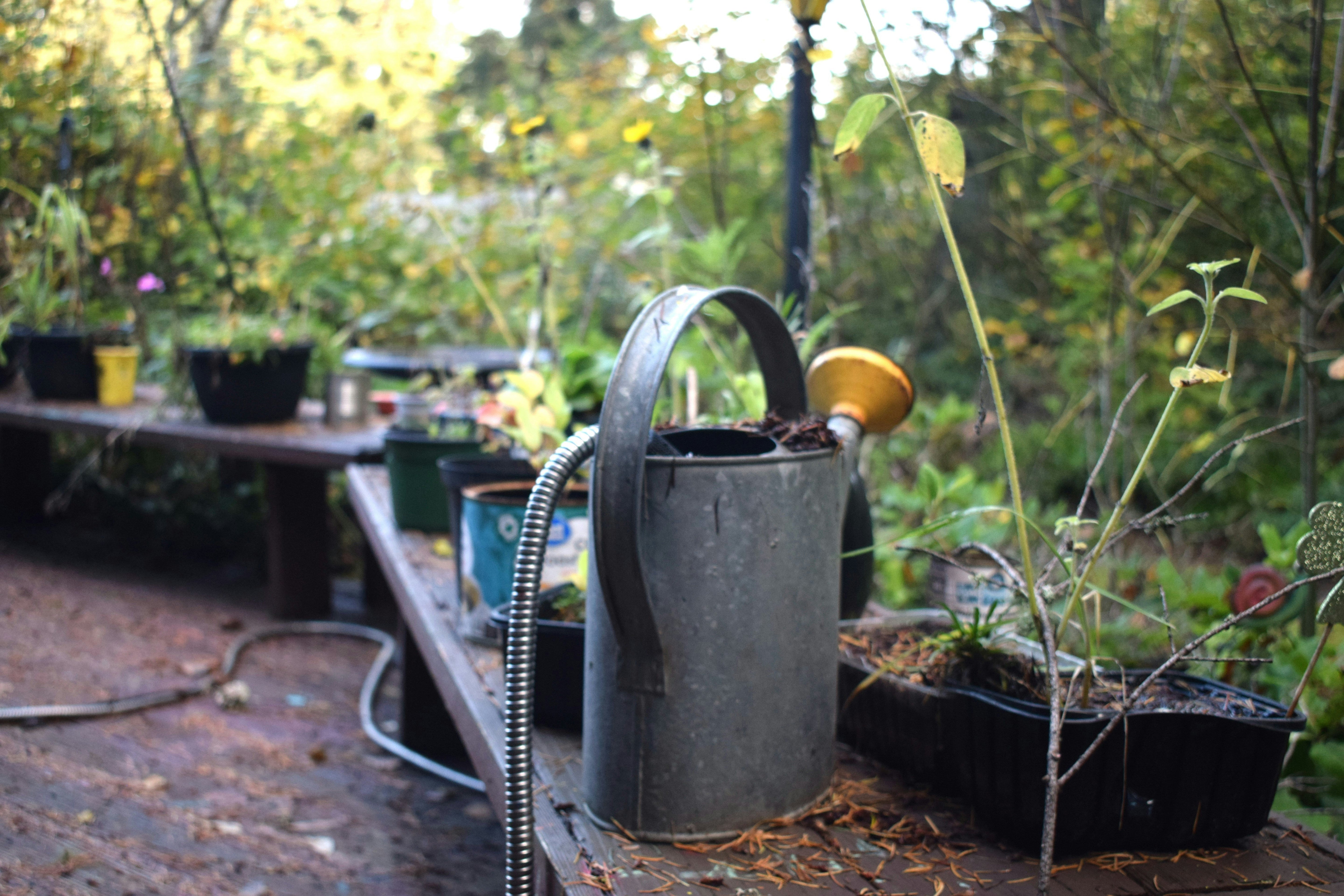 How to Winterize Your Tools, Pots, and Garden Gear Like a Pro