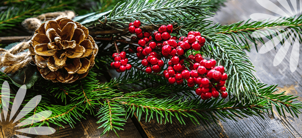 How to Care for Your Holiday Greens So They Stay Fresh All Season