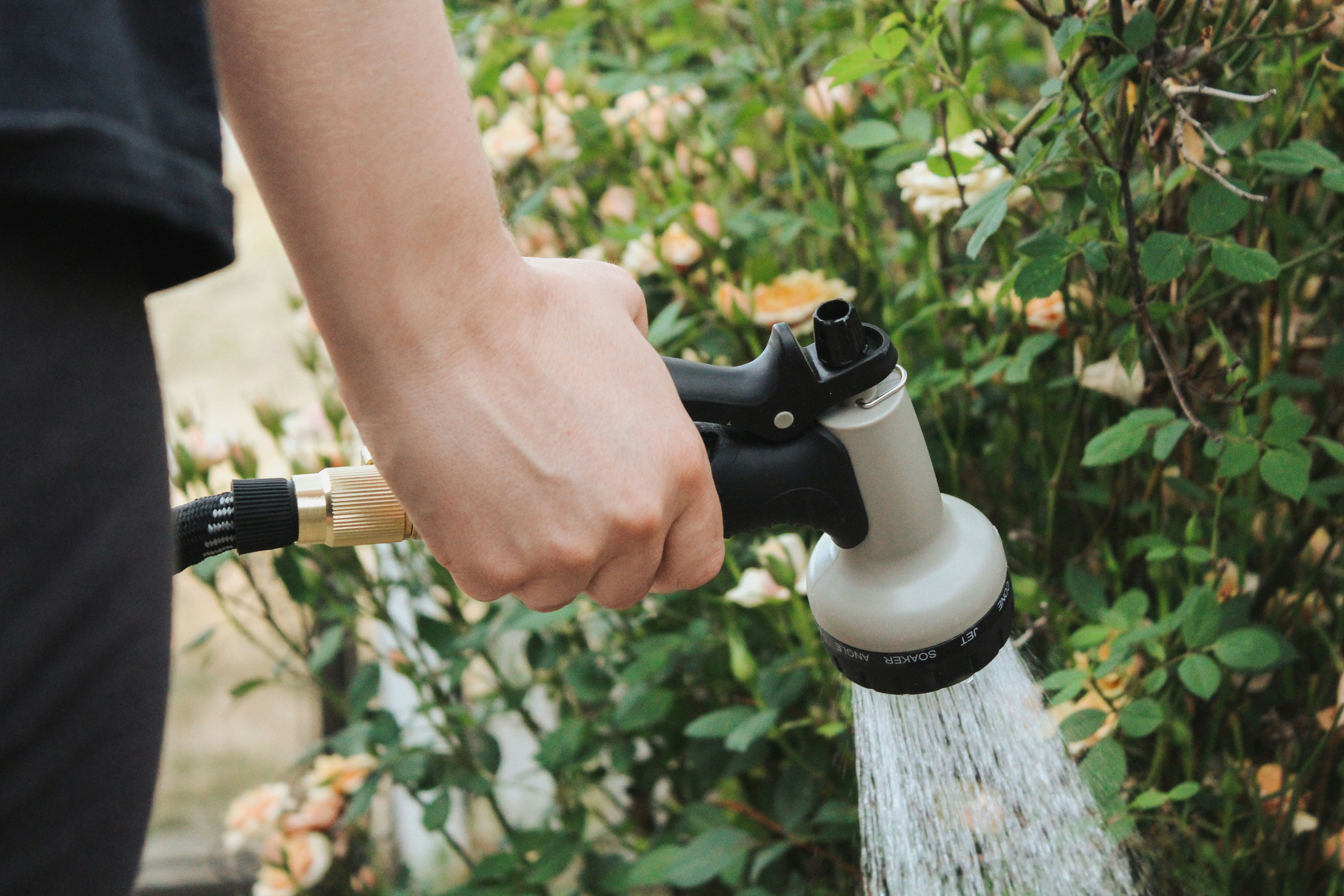 How to Maintain Your Garden in July