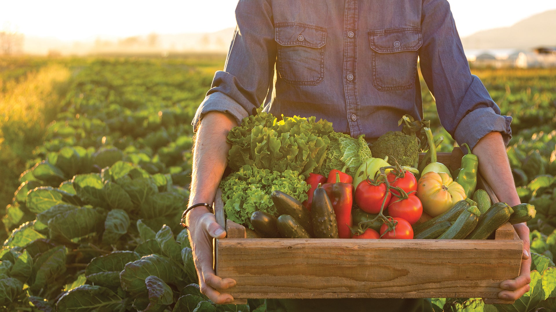 DIY: BEST TIME TO HARVEST