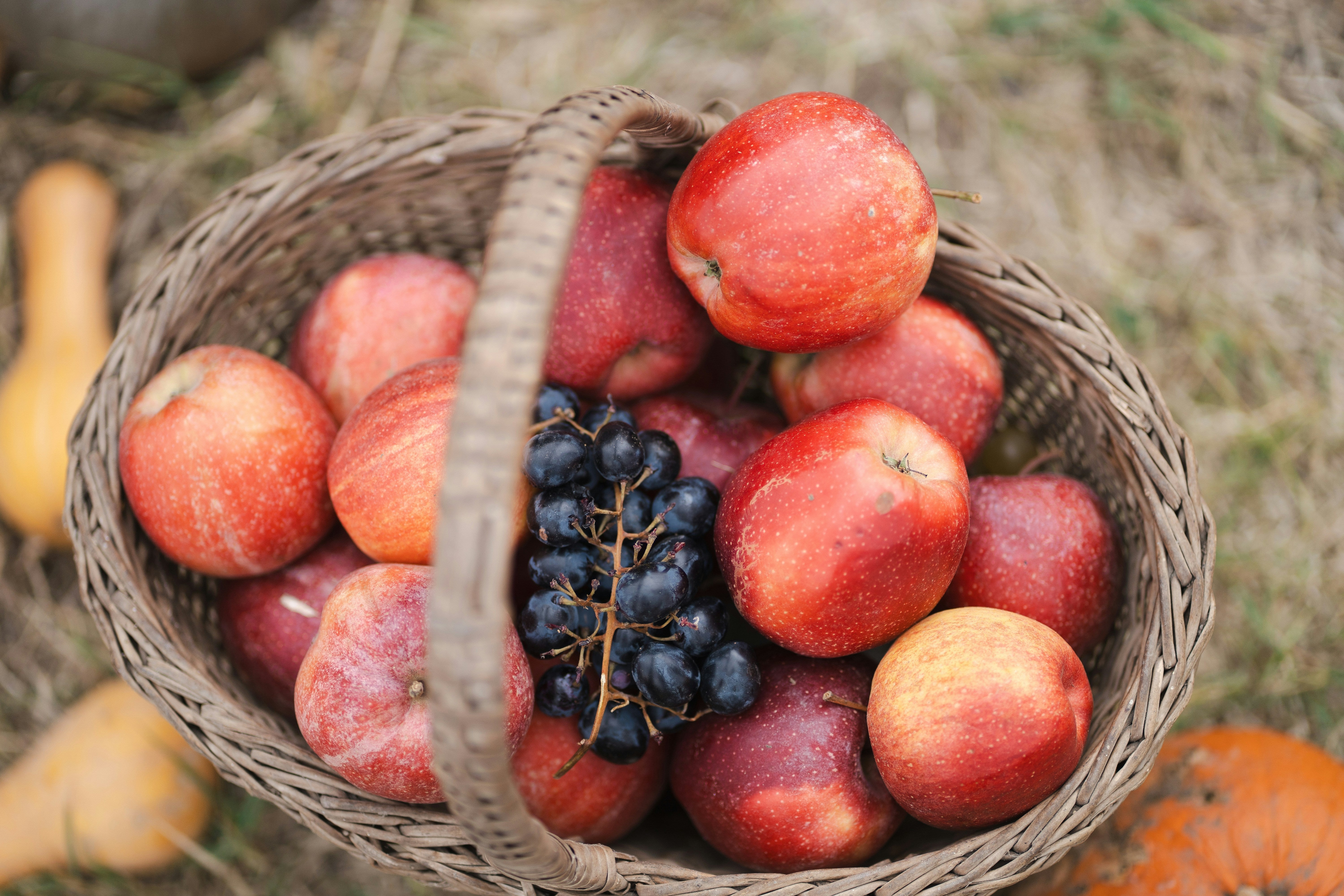 How to Store and Preserve Your Fall Harvest