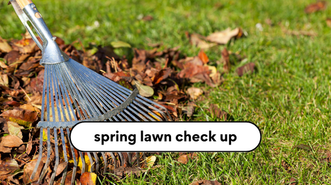 It's Time For A Spring Lawn Check-Up