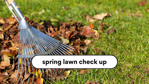 It's Time For A Spring Lawn Check-Up