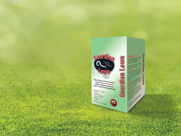 HOW TO GET RID OF GRUBS?