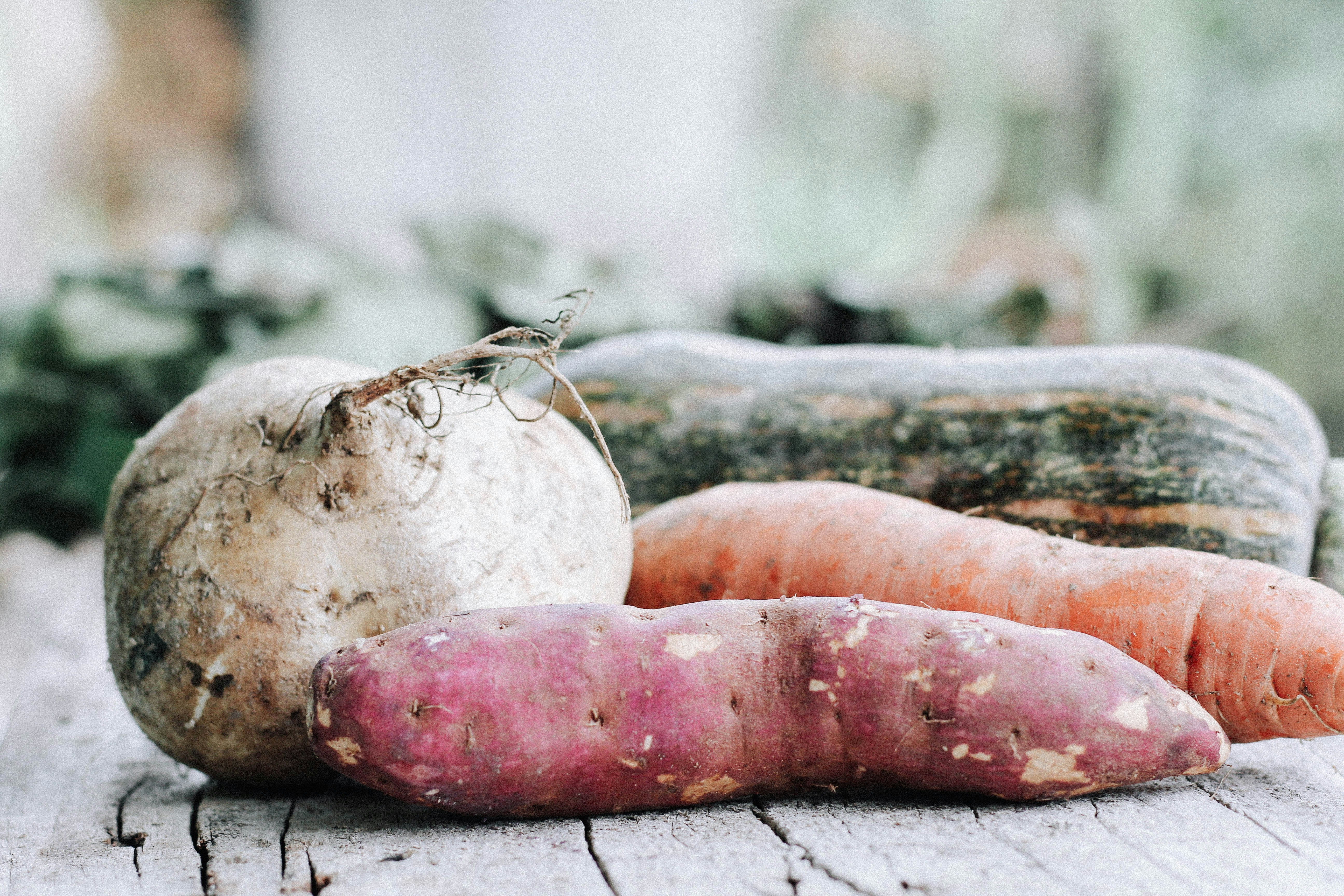 Plant Now, Save Later: Summer Planting for Fall Harvests