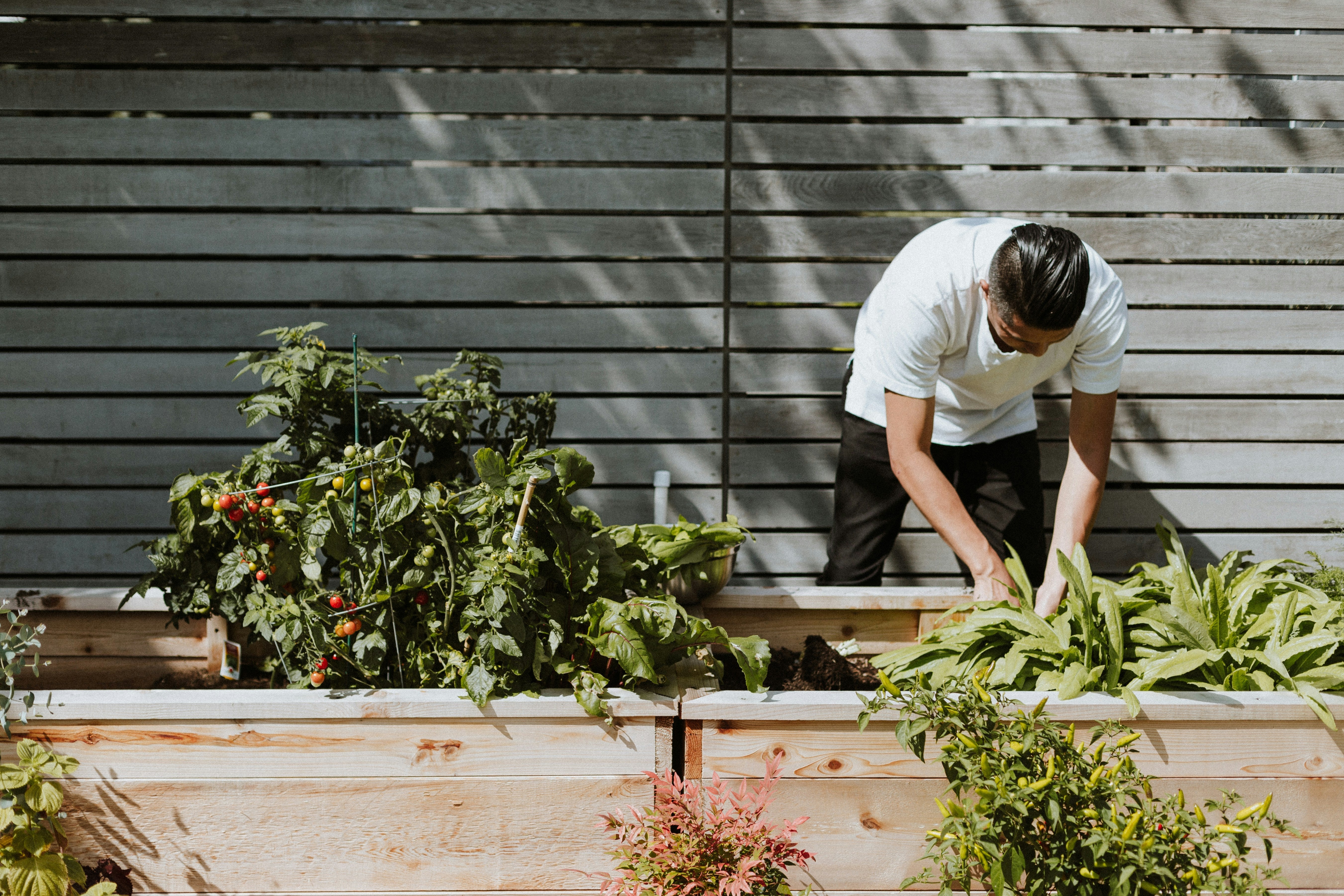 A Smarter Approach to Summer Weeding