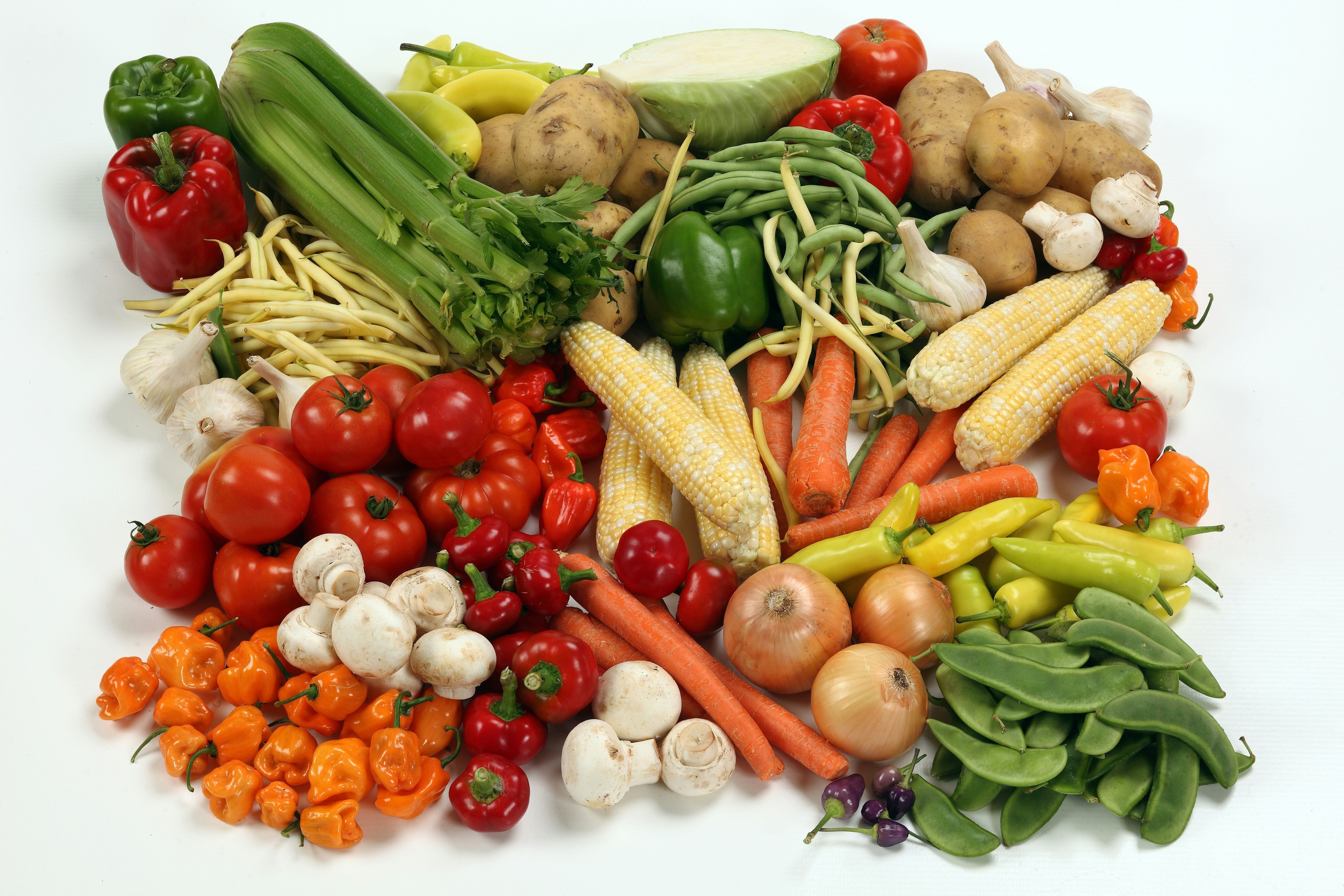 Celebrate Fresh Veggies Day: Why Homegrown Vegetables Taste Better