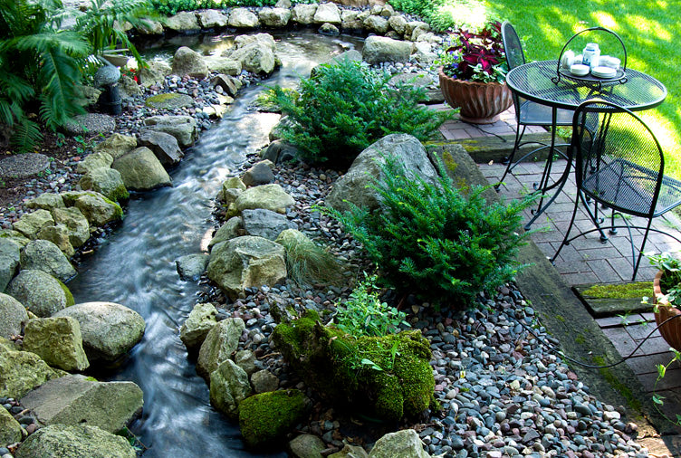 DIY: PLANTING A ROCK GARDEN