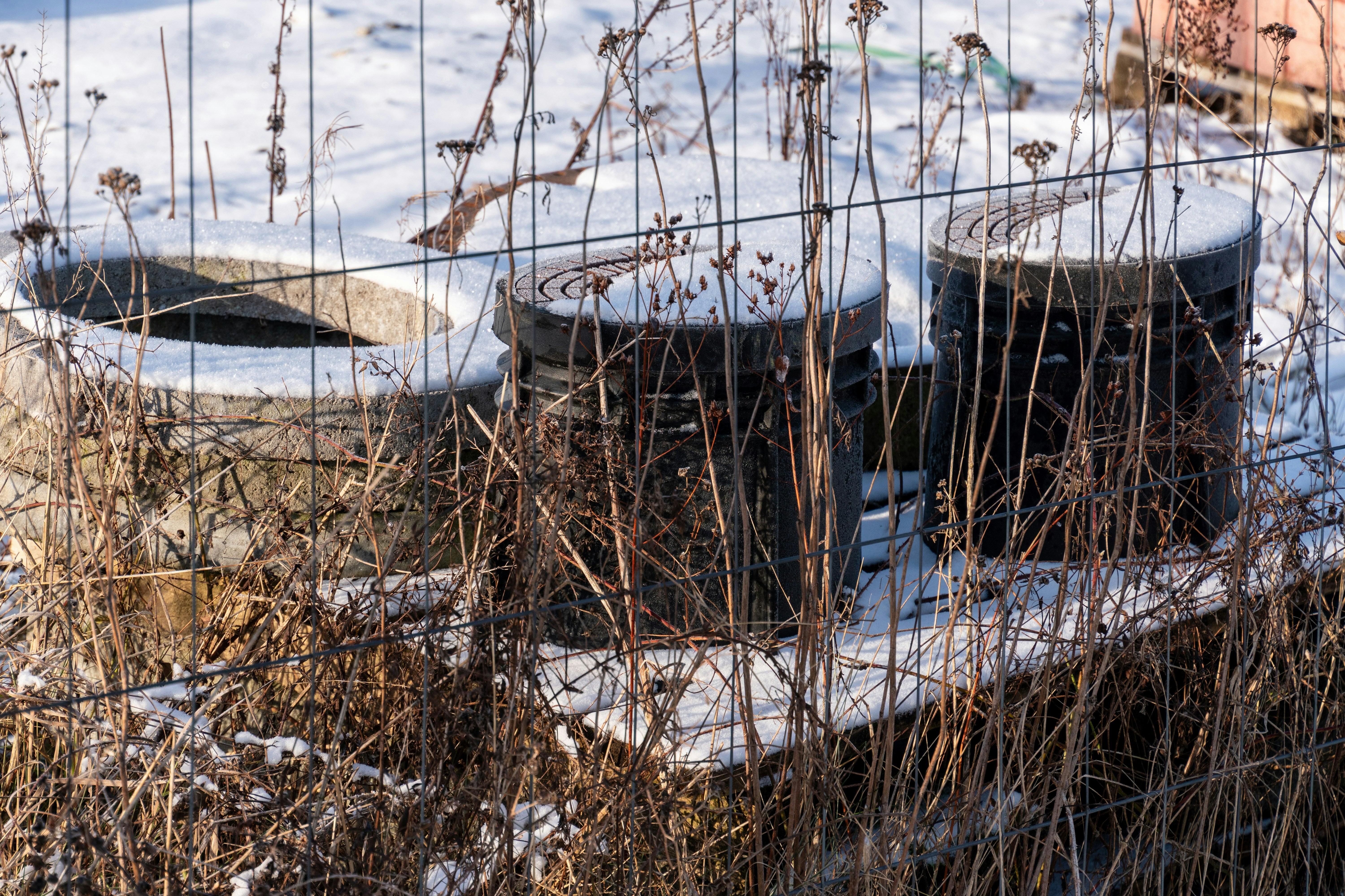 How to Winterize Your Garden Containers and Pots