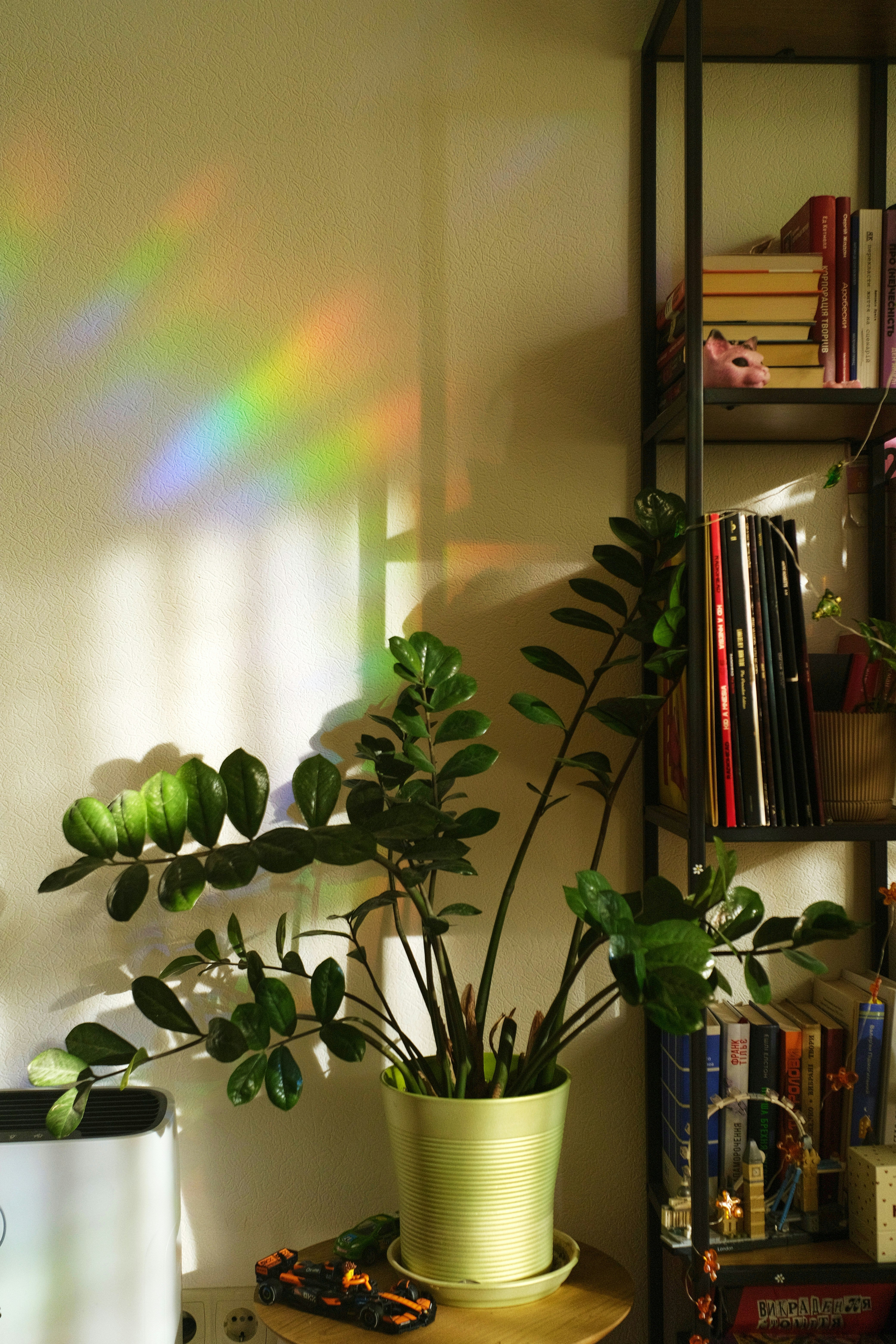 5 Plants That Work Harder for You: Air Purifiers and Mood Boosters for Your Home