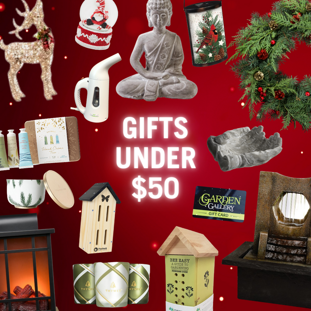 Gifts Under $50