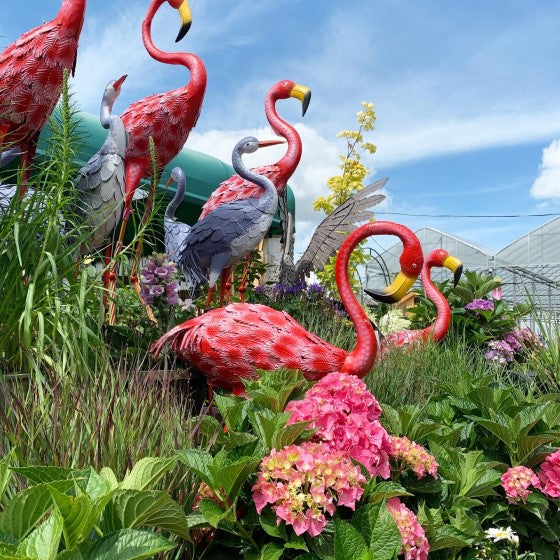 Outdoor Decor – Lakeside Garden Gallery