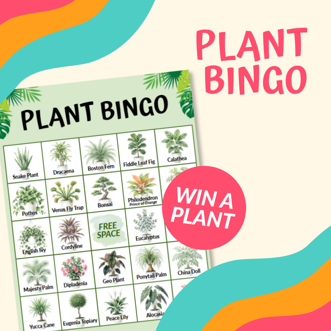 Summer Fun Fest Plant Bingo - July 18th