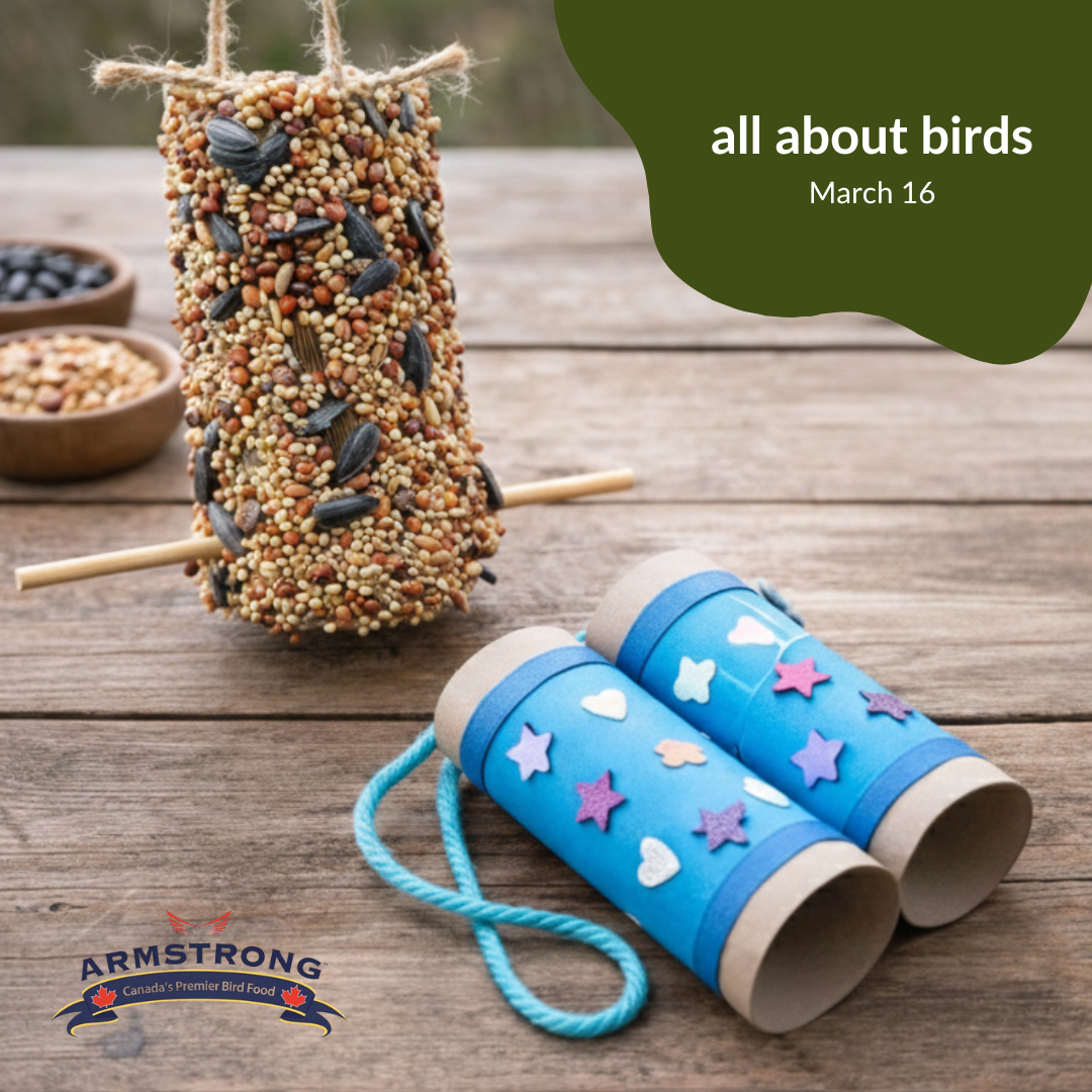 March Break: All About Birds