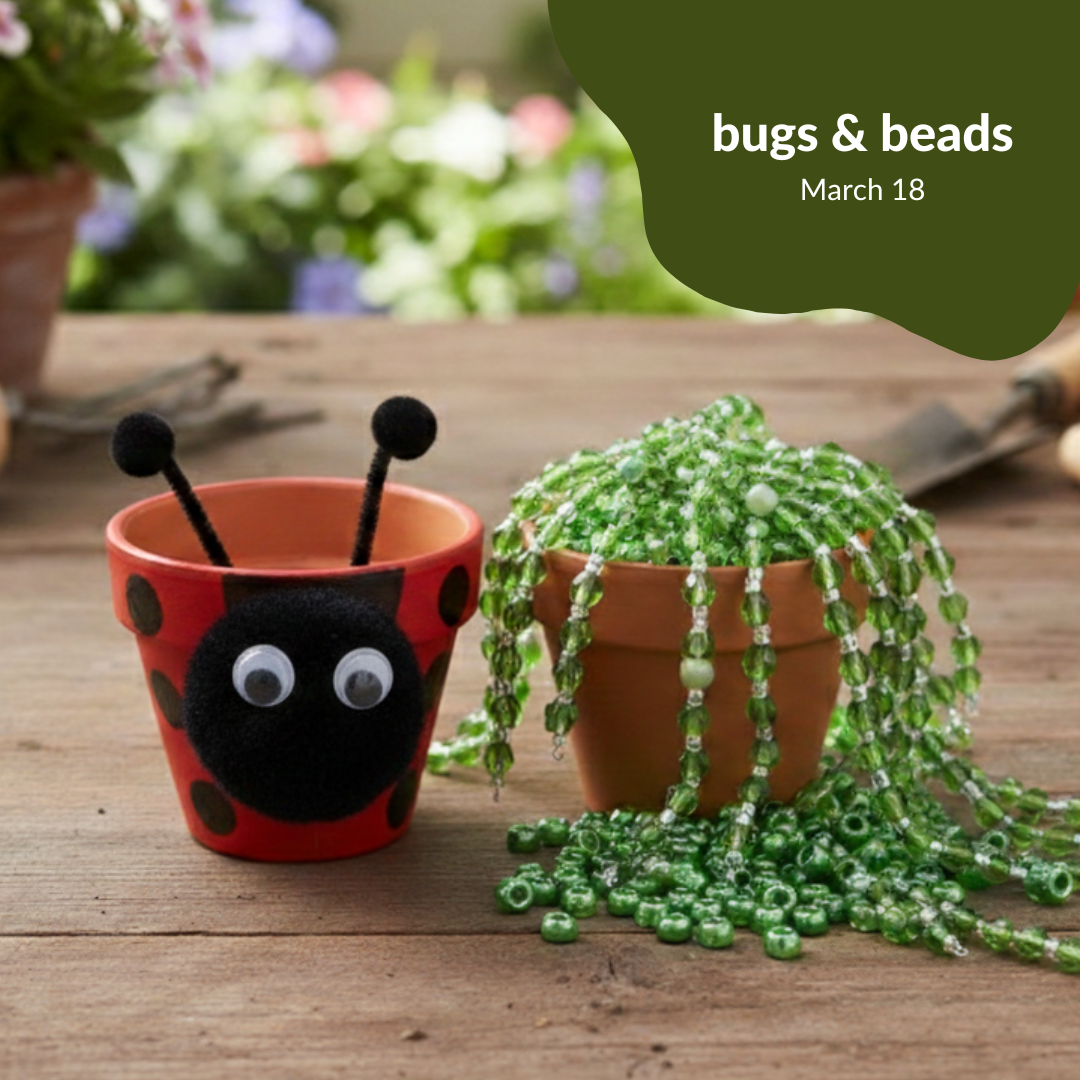 March Break: Bugs & Beads