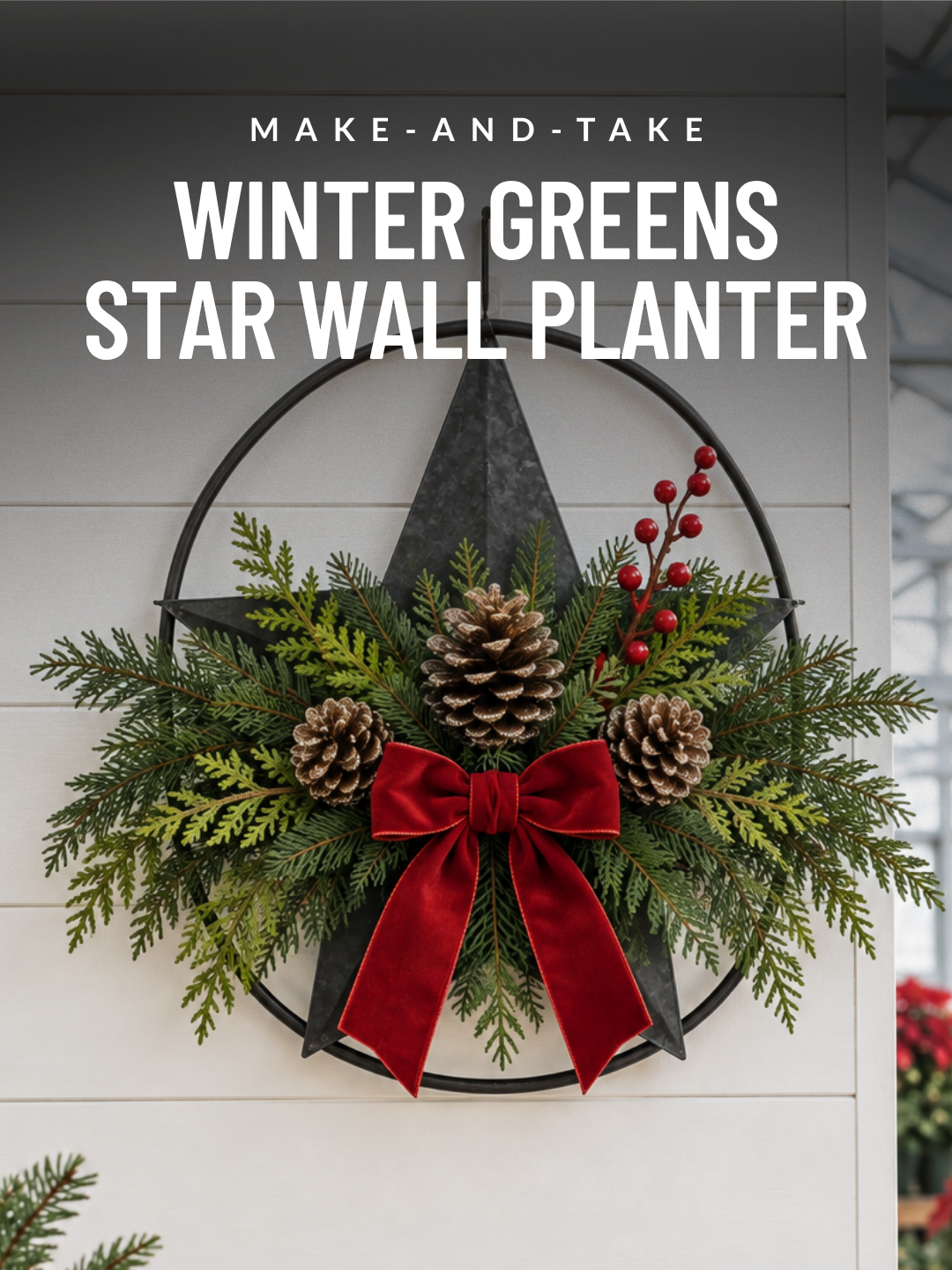 Make-and-Take: Winter Greens Star Wall Planter Workshop