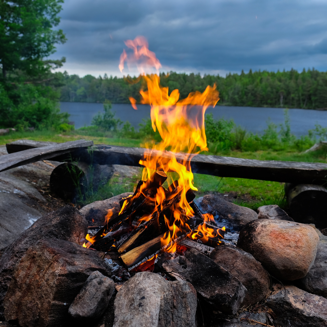 Seasonal firewood available in bulk for fireplaces and stoves Ontario