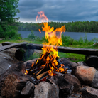 Seasonal firewood available in bulk for fireplaces and stoves Ontario