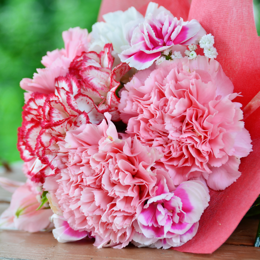 Carnation bouquets online
