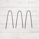 Landscape Staples lakeside garden gallery ontario
